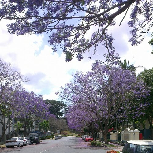 expat, Brisbane, Australia, Ireland, Canada, travel, adventure, relationships, love