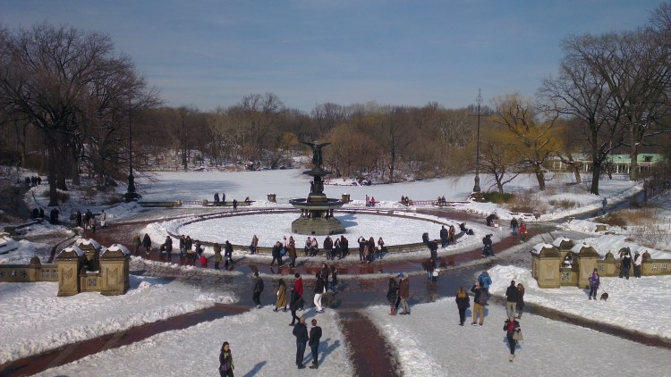 Notes From Another Land / Central Park NYC