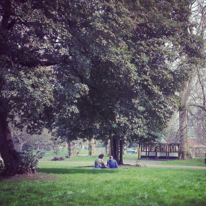 Notes From Another Land / Kennington Park London