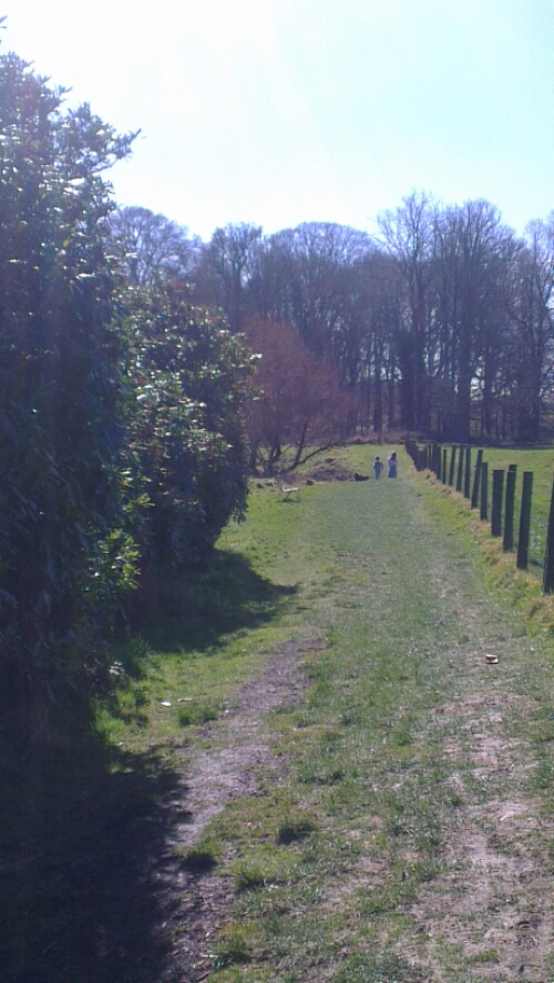 Co. Wicklow in Ireland