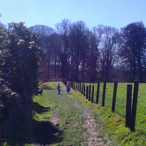 Notes From Another Land / Remote Work in Naas Co. Kildare