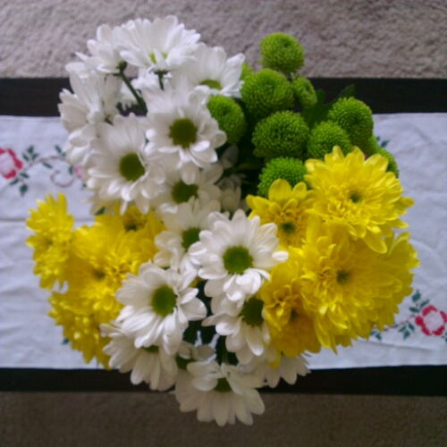 Notes From Another Land / Friday flowers