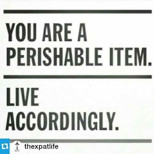 Notes From Another Land / Instagram