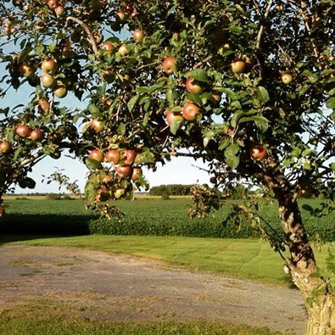 Notes From Another Land / Autumn