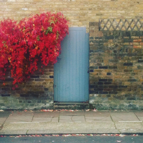 Notes From Another Land | Red leaves gray door