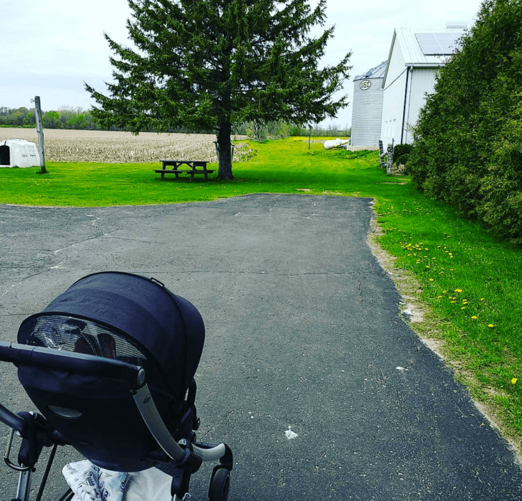 Notes From Another Land - Mum Life