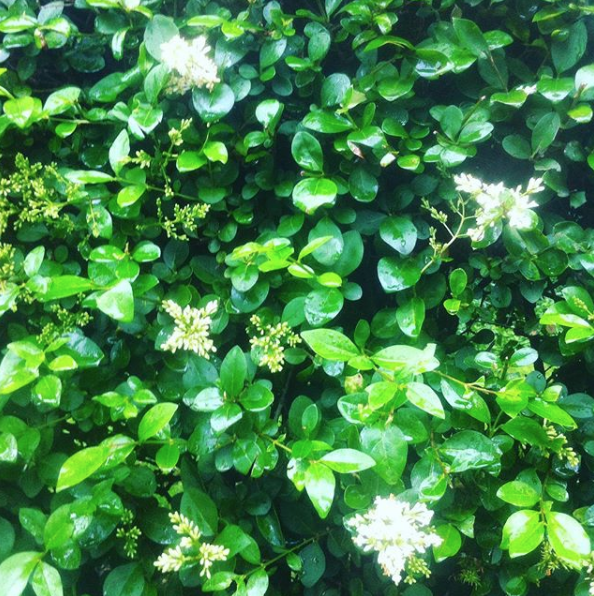 Notes From Another Land | Brexit Referendum