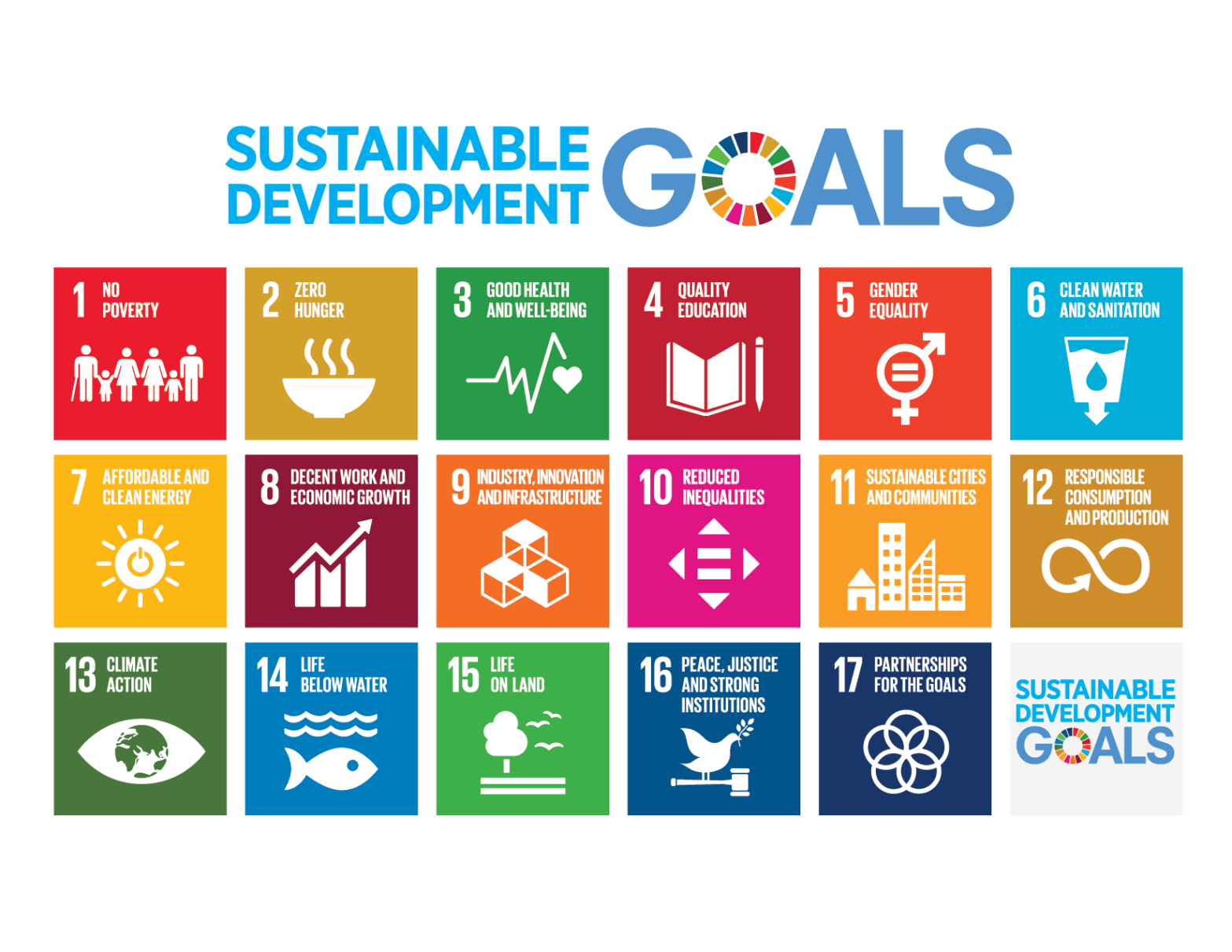 United Nations' Sustainable Development Goals (SDGs)