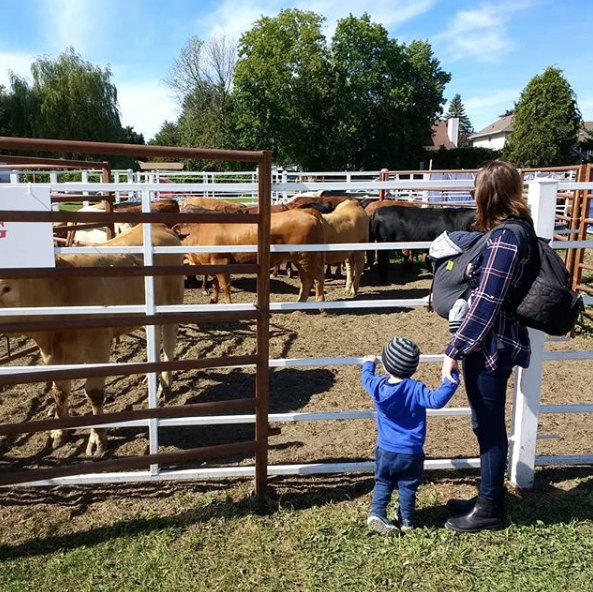 Amy Maureen Lynch cow spotting with her kids