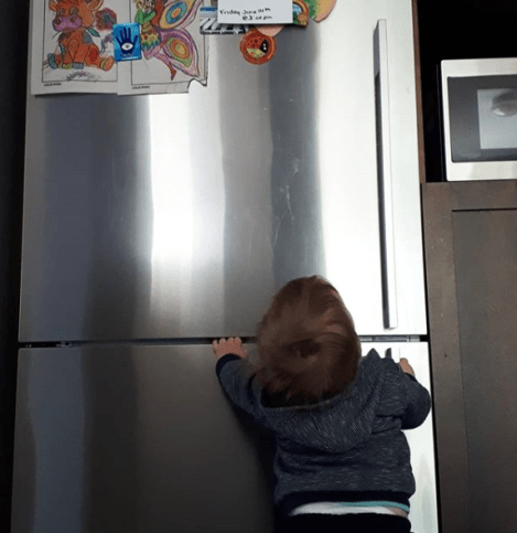 Amy Lynch Babies, Business + Breakfast Ice Cream