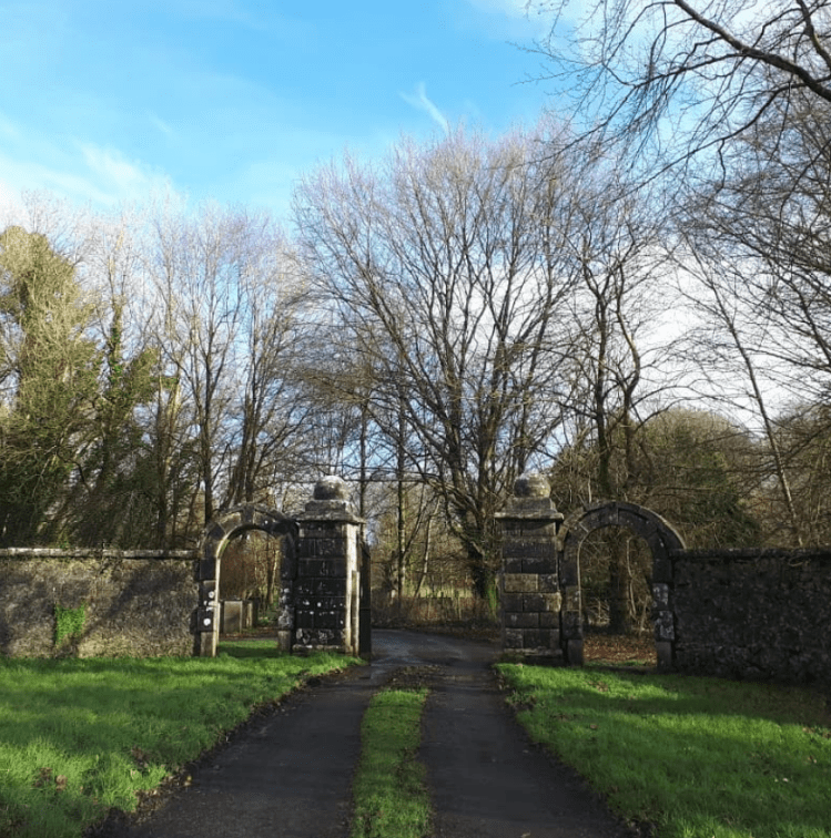 Notes From Another Land | Rural Galway | Amy Maureen Lynch