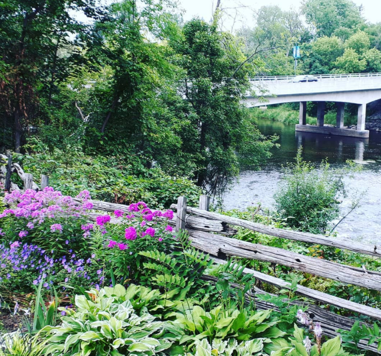 Notes From Another Land | Amy Maureen Lynch | Reflections From 2019.png